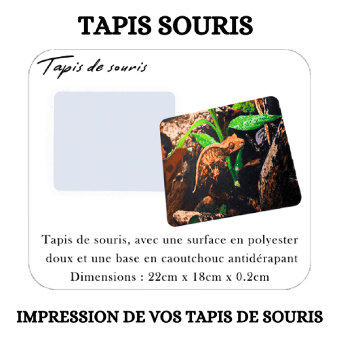 TAPIS DE SOURIS